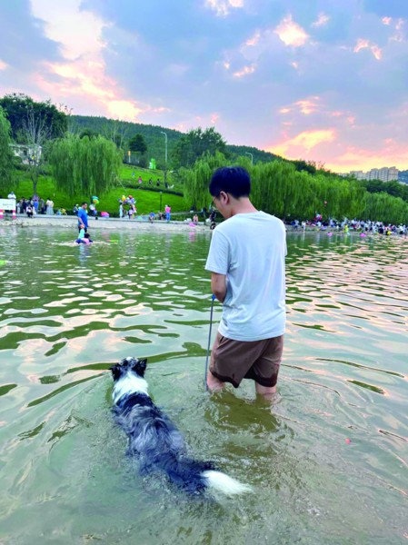在济南孟家水库,市民可以带宠物玩水